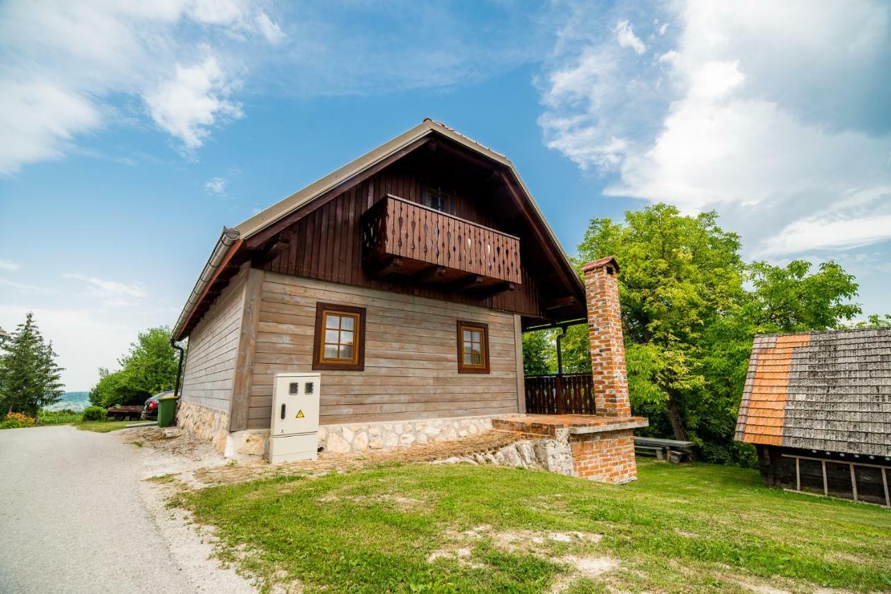 Sunny House With Sauna Bistrica ob Sotli 外观 照片